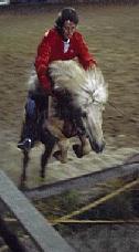 Jumping Icelandic Horses