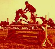 Jumping Icelandic Horses