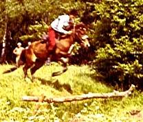 Jumping Icelandic Horses